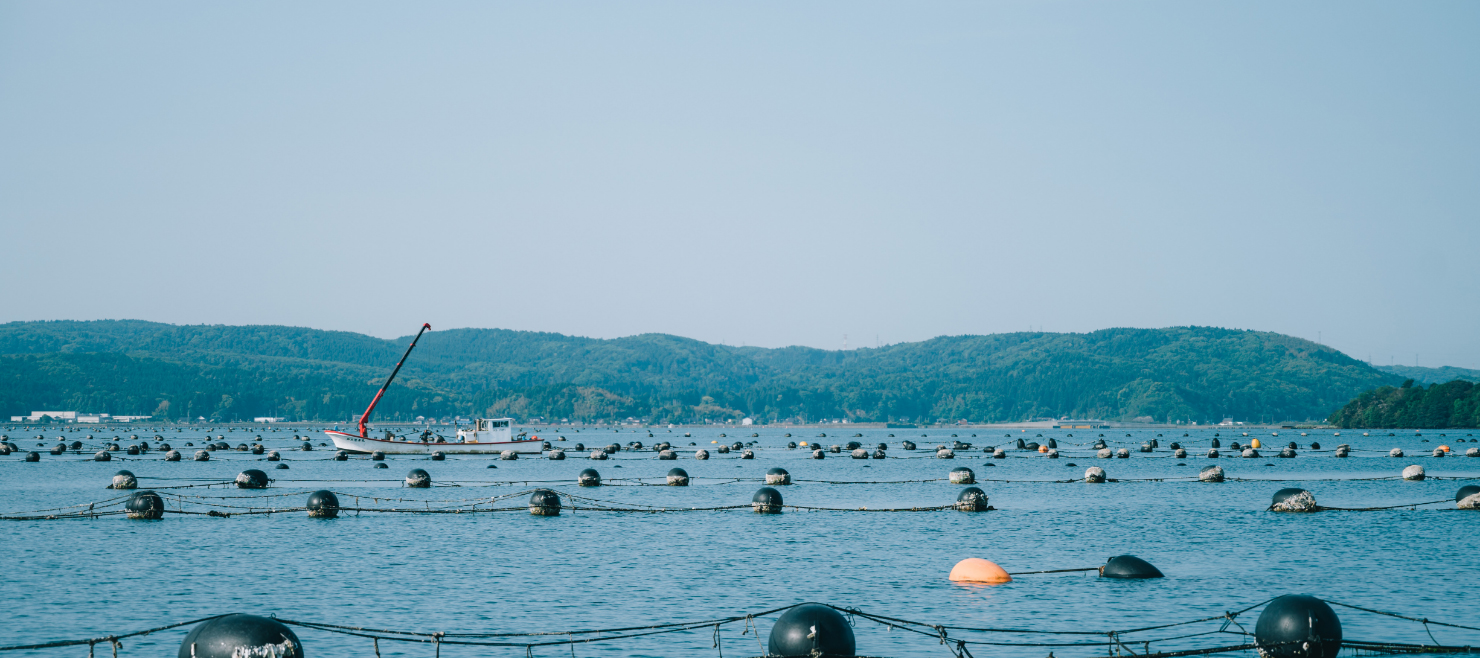 能登かき 山口水産
