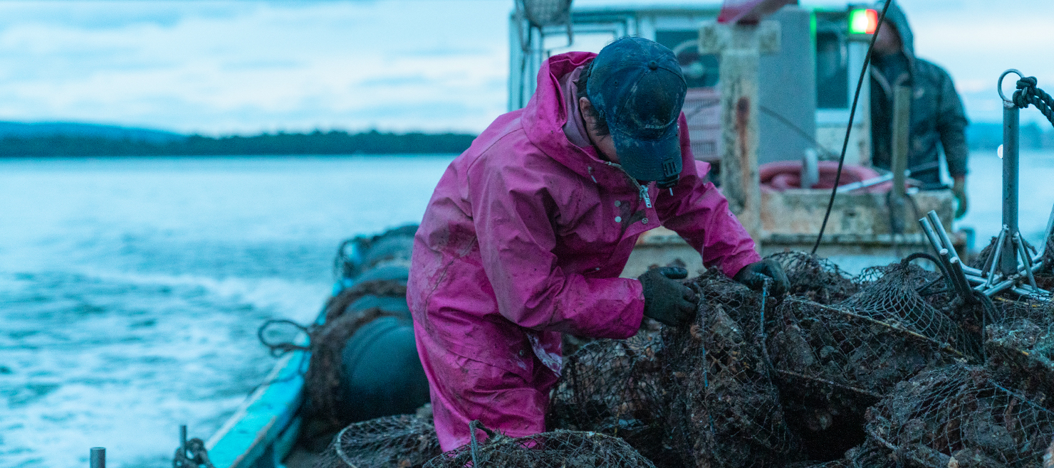 能登かき 山口水産